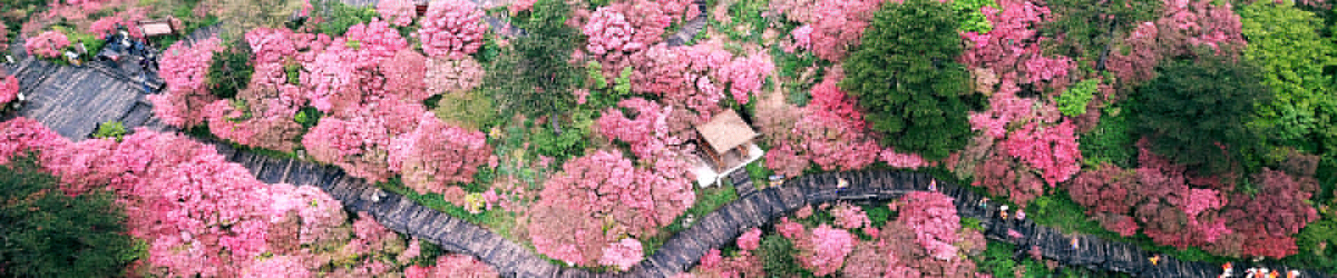 <strong>用專業(yè)解決問(wèn)題，為客戶創(chuàng)造價(jià)值！</strong>